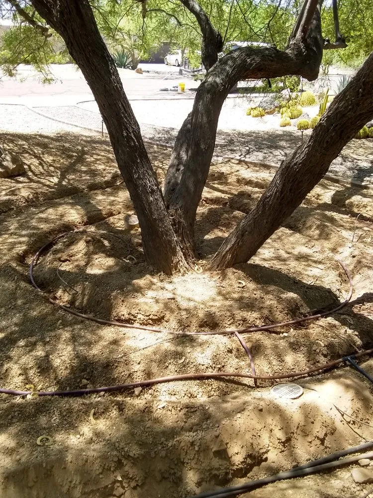 Expert lawn care service with custom design across Phoenix, AZ - LRB Service