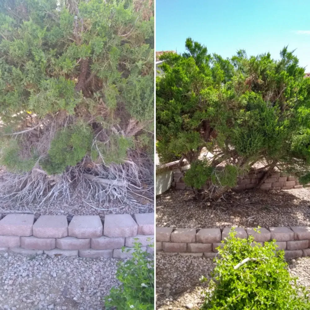 Professional outdoor landscaping in Phoenix, AZ - LRB Service