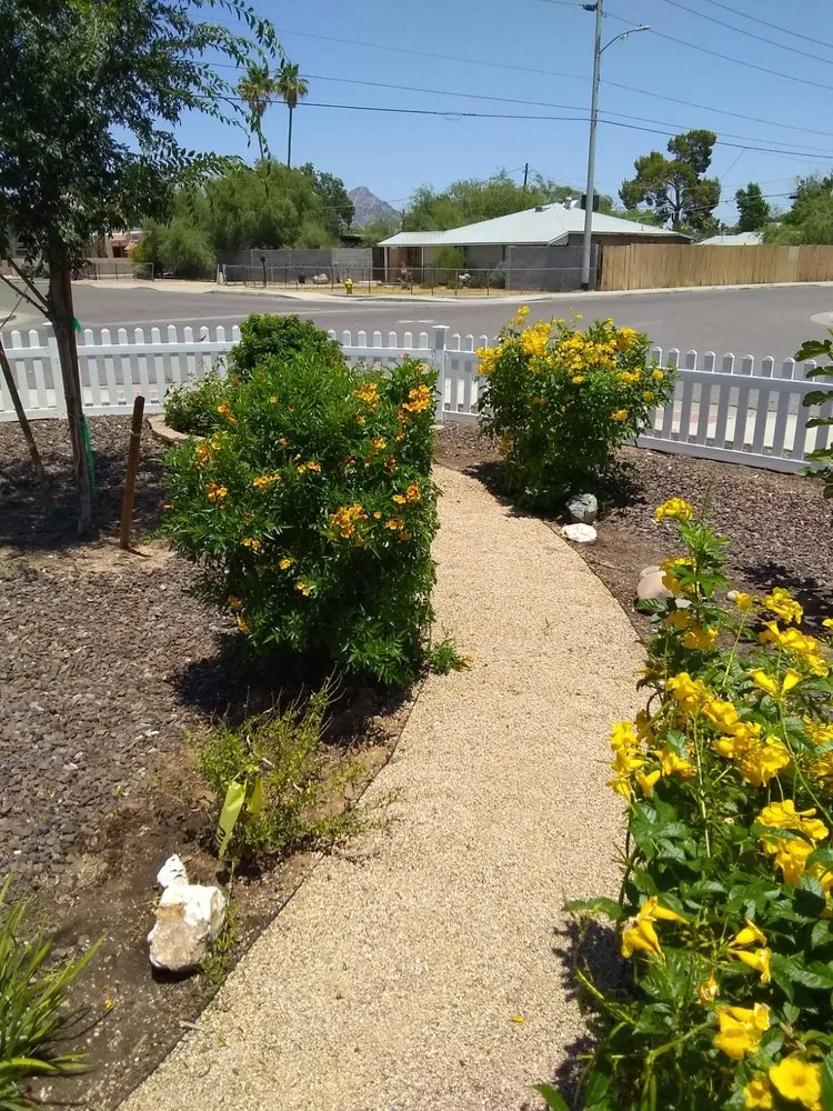 Affordable landscape design for beautiful yards across Phoenix, AZ - LRB Service