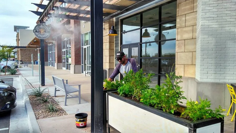 Trusted yard cleanup service in Phoenix, AZ by LRB Service