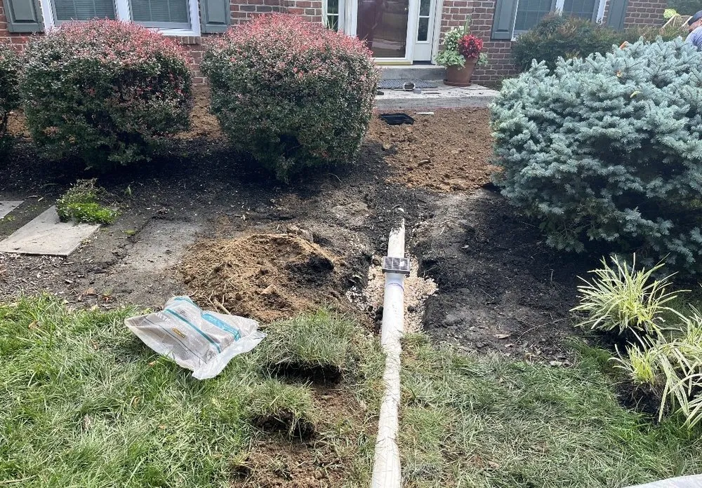 Reliable yard cleanup service experts serving West Chester, PA - LRL Landscape & Shrub Experts