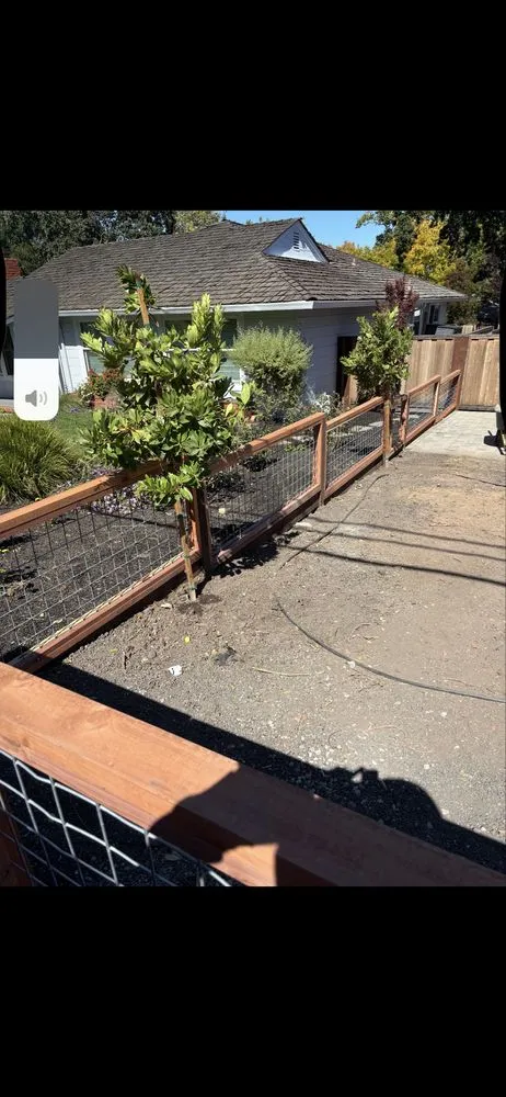 Expert yard maintenance for year-round maintenance across Pleasant Hill, CA - LRL Landscaping