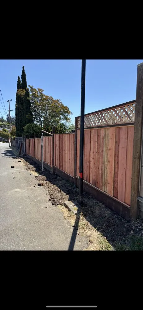 Expert yard cleanup service for residential properties in Pleasant Hill, CA by LRL Landscaping