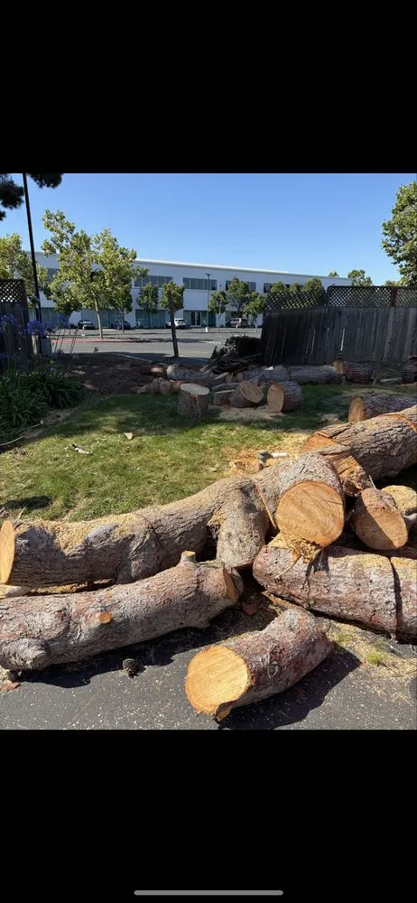 Top-rated residential landscaping in Pleasant Hill, CA - LRL Landscaping