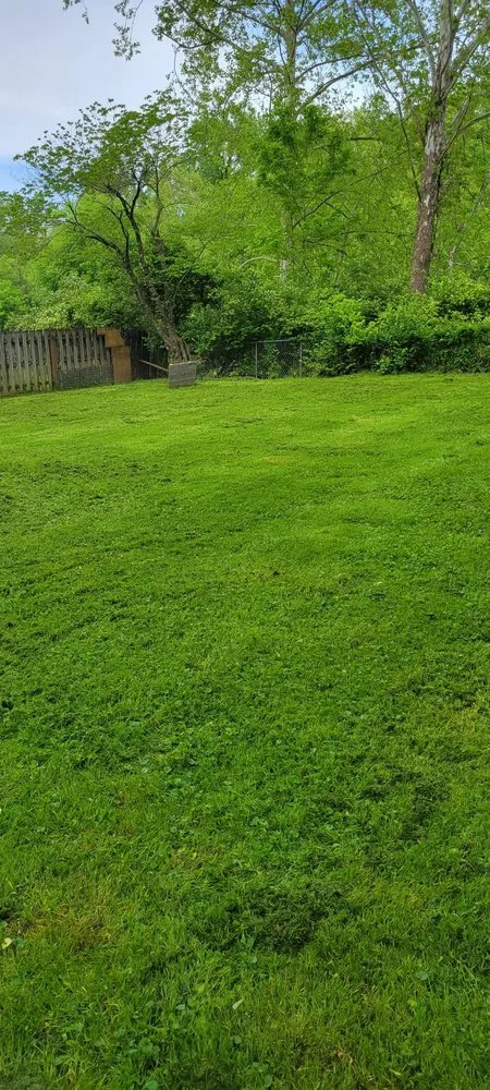 Custom landscaping services for homes in Okeana, OH by LRM Lawn Service