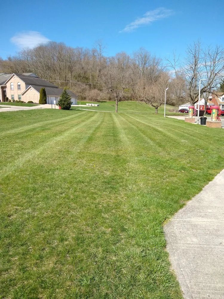 Custom yard cleanup service in Okeana, OH by LRM Lawn Service
