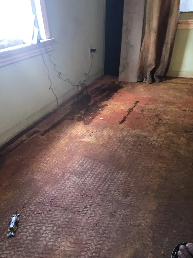 Expert landscape design with custom design across Daytona Beach, FL - LRS Cleaning & Handyman Services of Volusia