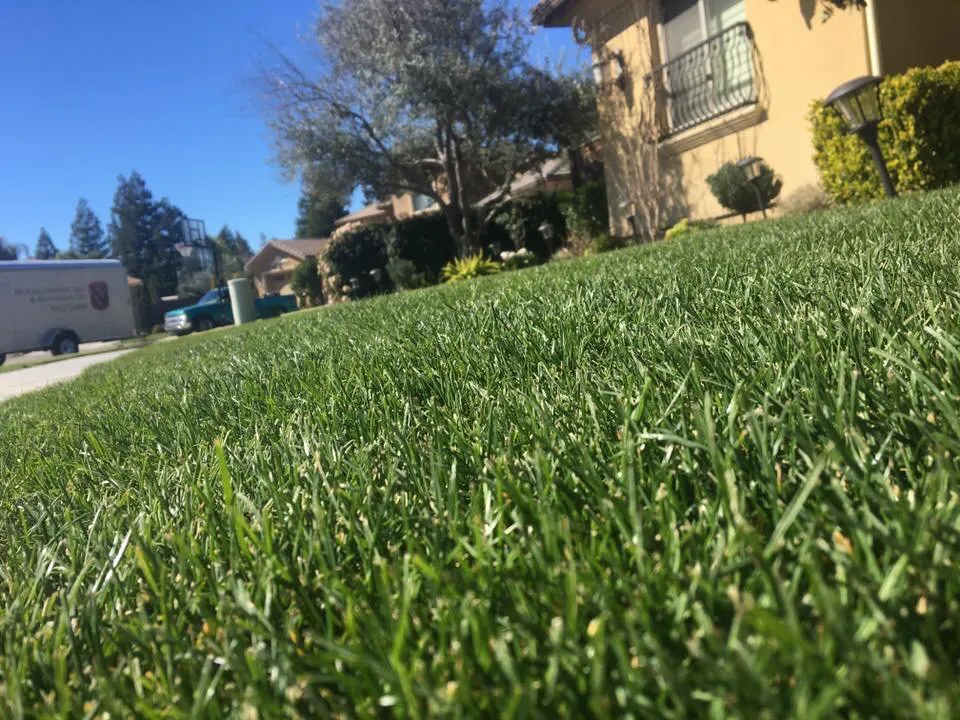 Expert garden landscaping for beautiful yards in Fresno, CA by LRS Landscaping and Turf