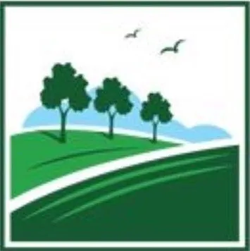 Professional yard cleanup service experts serving Fresno, CA - LRS Landscaping and Turf