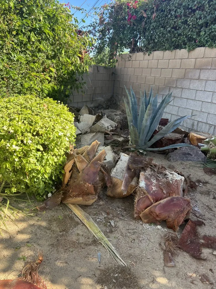 Top-rated garden landscaping for beautiful yards in Cathedral City, CA by L&R’s Landscaping