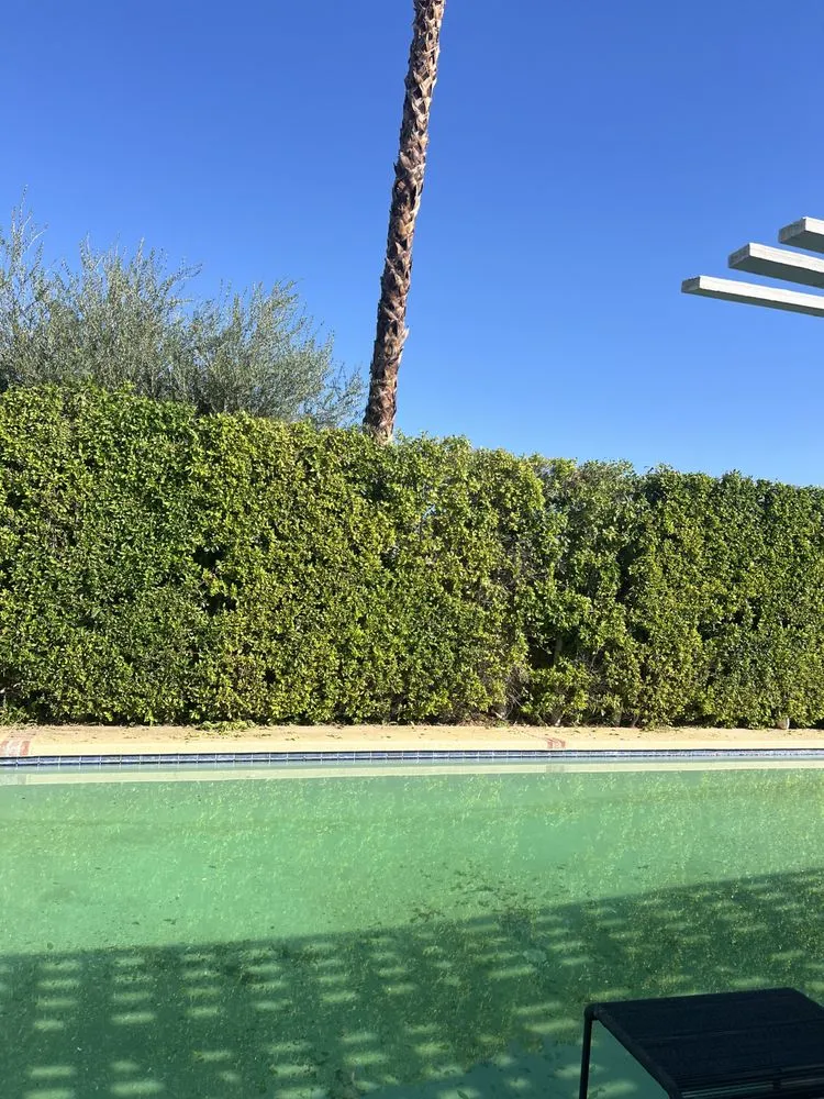 Expert landscape installation for year-round maintenance across Cathedral City, CA - L&R’s Landscaping