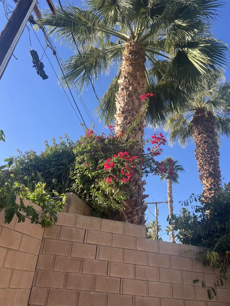 Custom landscape installation experts serving Cathedral City, CA - L&R’s Landscaping