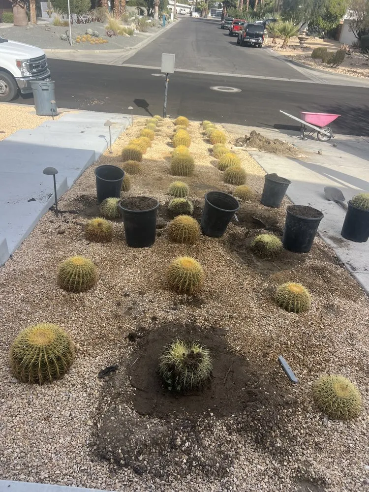 Top-rated landscape installation for outdoor upgrades in Cathedral City, CA by L&R’s Landscaping