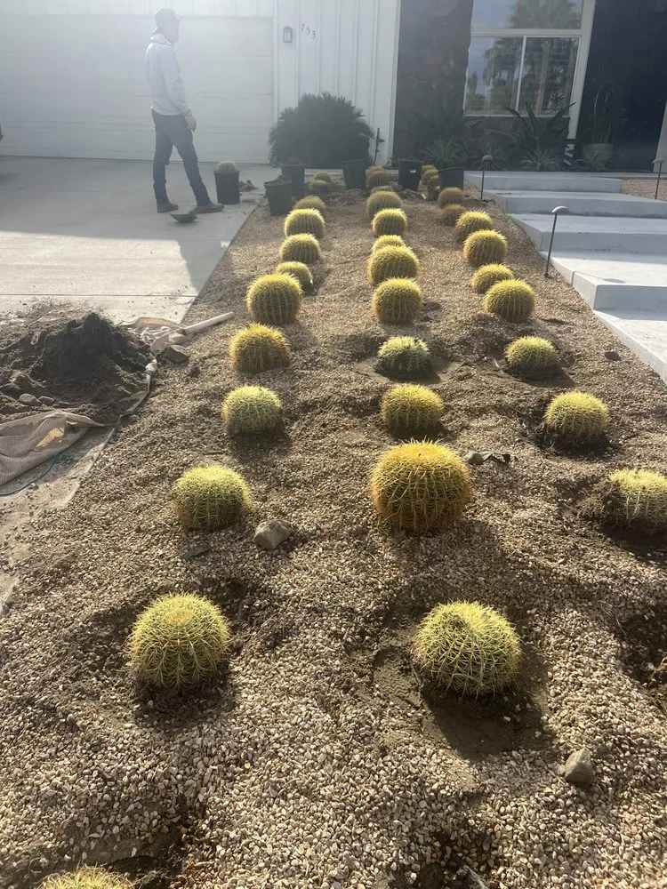 Custom outdoor landscaping in Cathedral City, CA by L&R’s Landscaping