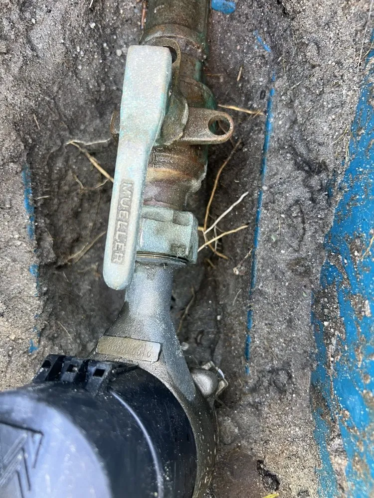 Expert garden landscaping in Cathedral City, CA - L&R’s Landscaping