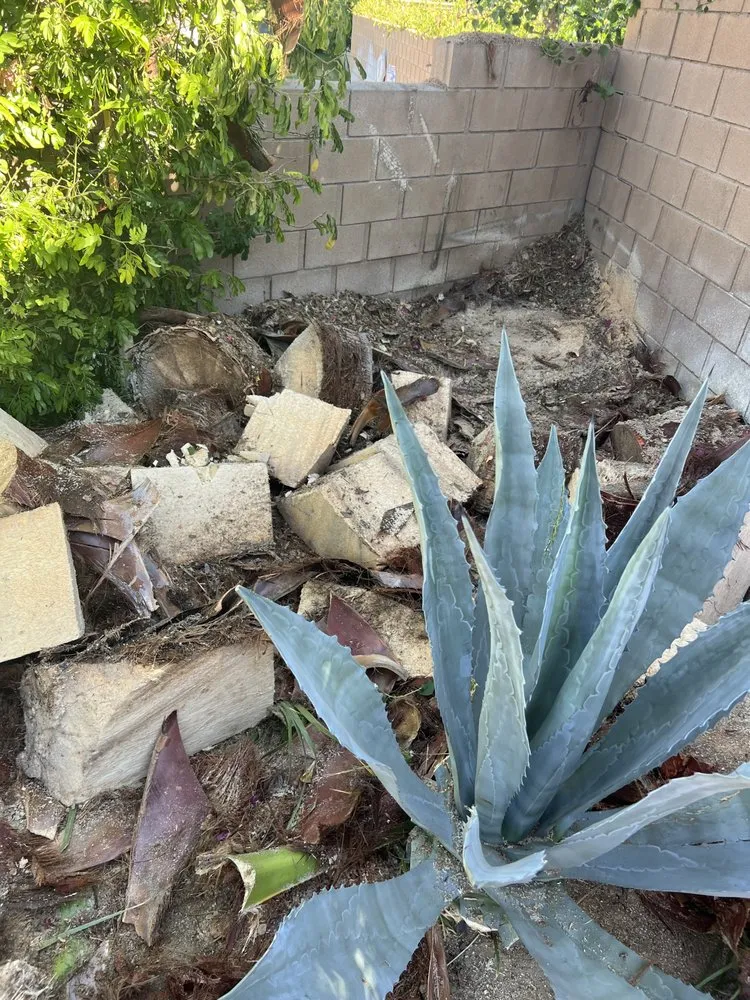 Local yard cleanup service in Cathedral City, CA - L&R’s Landscaping