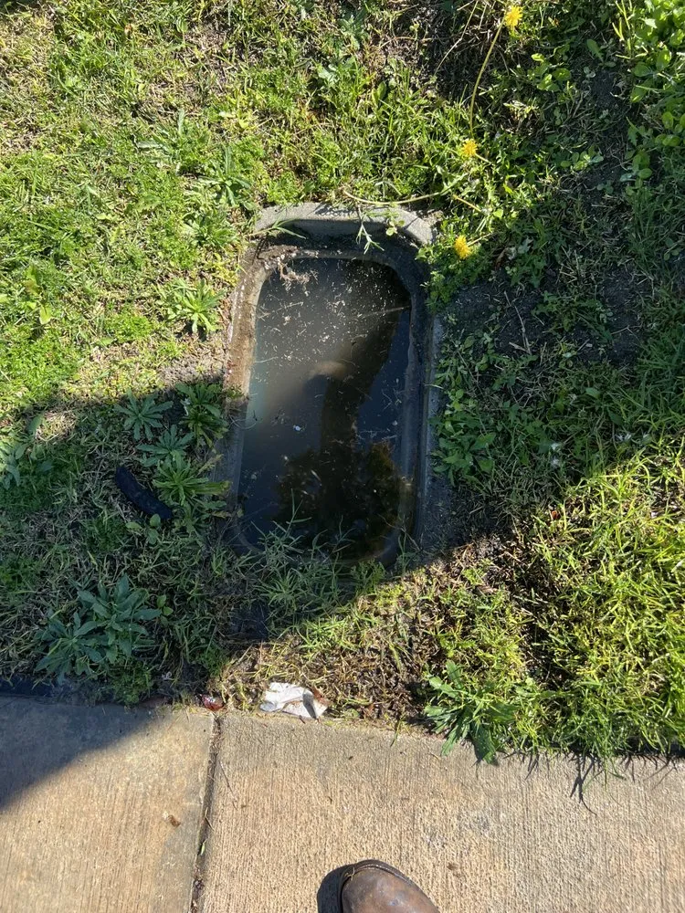 Top-rated landscaping services for outdoor upgrades in Cathedral City, CA by L&R’s Landscaping