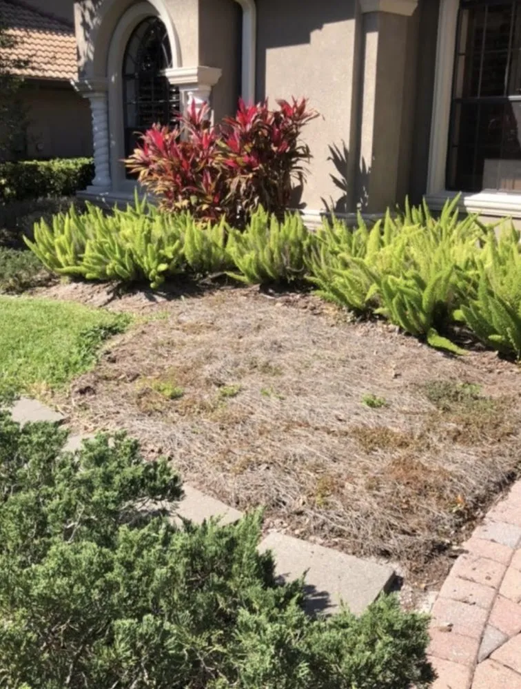 Custom residential landscaping for year-round maintenance in Trinity, FL by Lrs Lawn & Property Maintenance