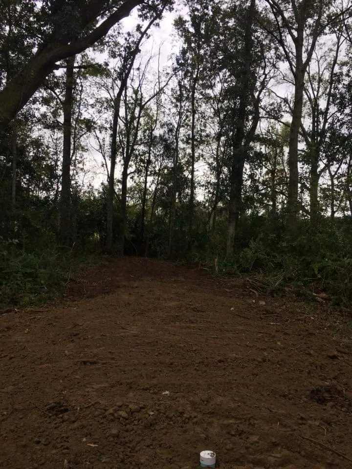 Reliable yard maintenance in Pierre Part, LA by LRS