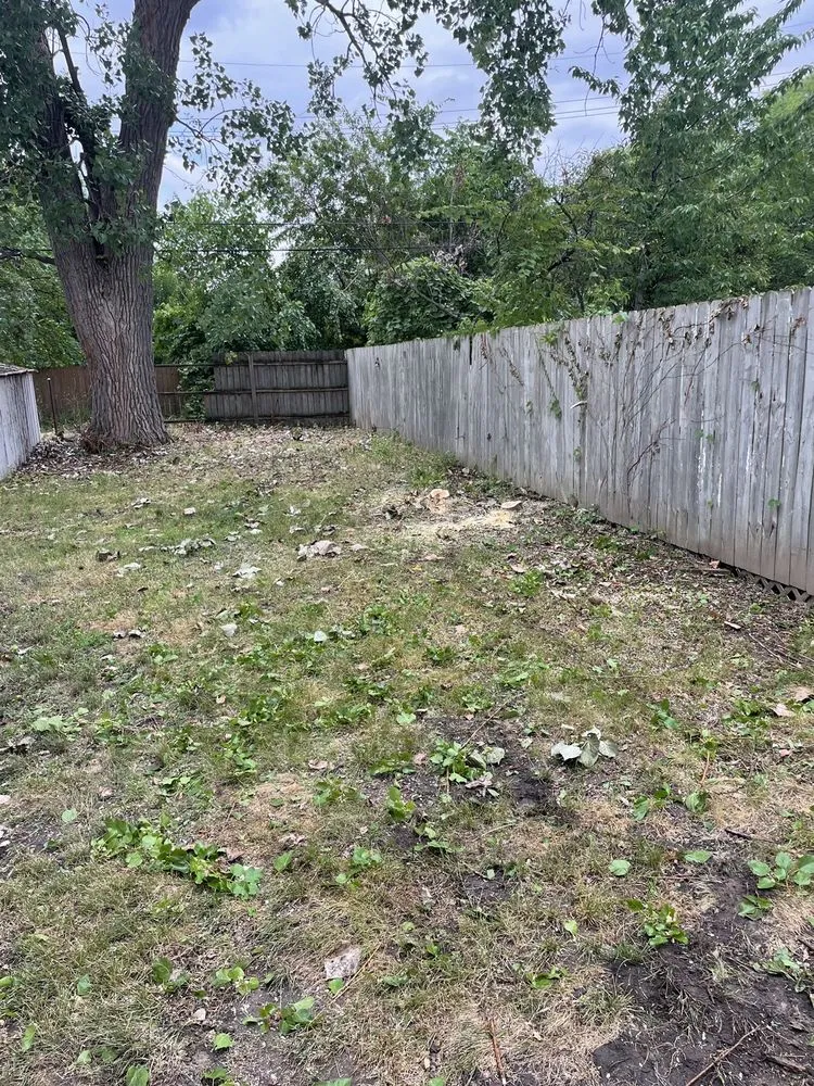 Local lawn care service in Wyandotte, MI - L&S Complete Lawn Care