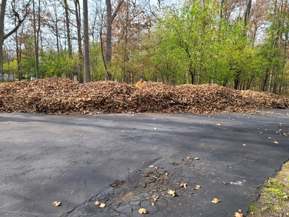 Local yard maintenance for outdoor upgrades across Wyandotte, MI - L&S Complete Lawn Care