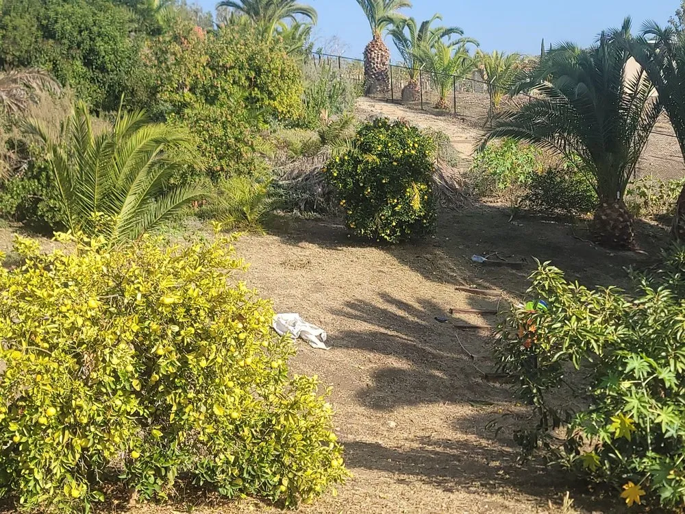 Local lawn care service experts serving Lawndale, CA - L&S Enterprises