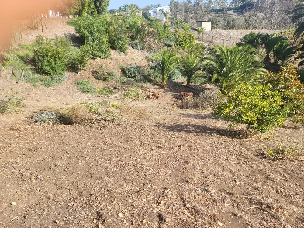 Professional yard cleanup service in Lawndale, CA by L&S Enterprises