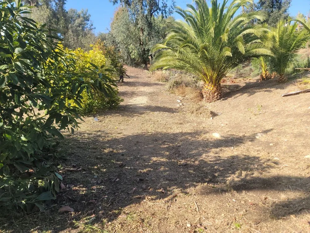 Professional landscaping services in Lawndale, CA - L&S Enterprises