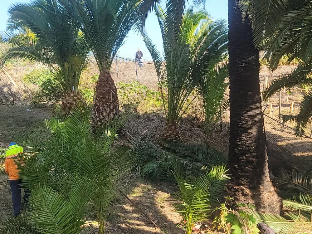 Local landscape design for outdoor upgrades in Lawndale, CA by L&S Enterprises