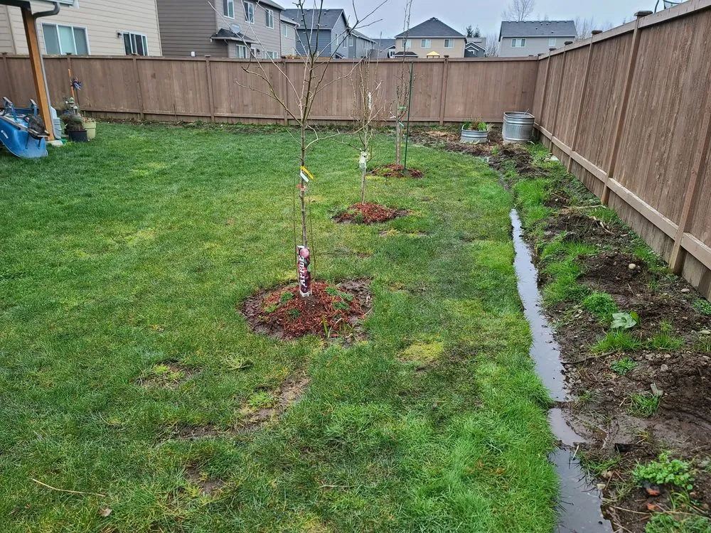 Reliable landscaping services for homes across Marysville, WA - L&S Landscape
