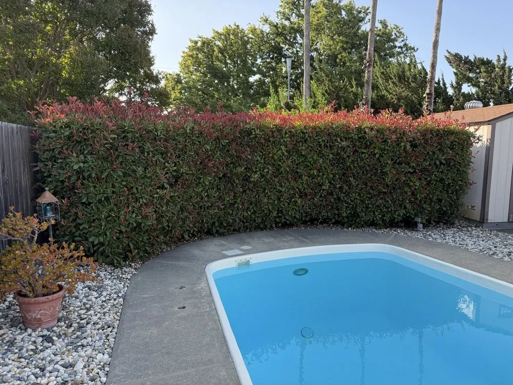 Affordable landscape design near you in Stockton, CA by LS Landscaping & Tree Care