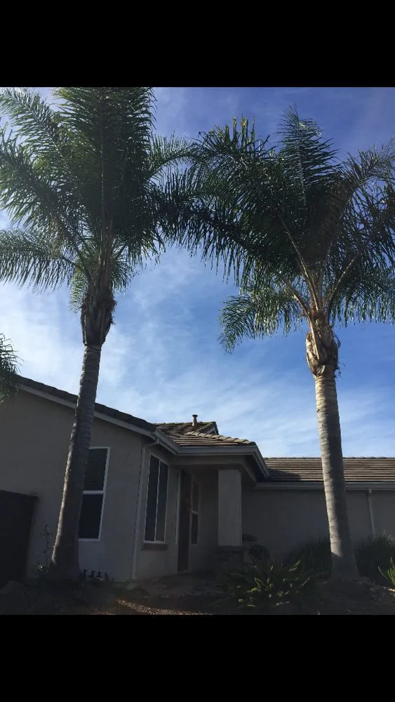 Local lawn care service for homes across Stockton, CA - LS Landscaping & Tree Care