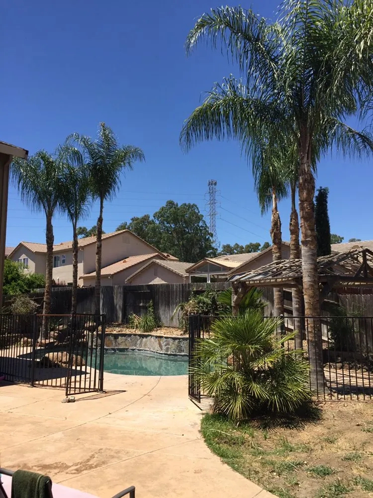 Local landscaping services experts serving Stockton, CA - LS Landscaping & Tree Care