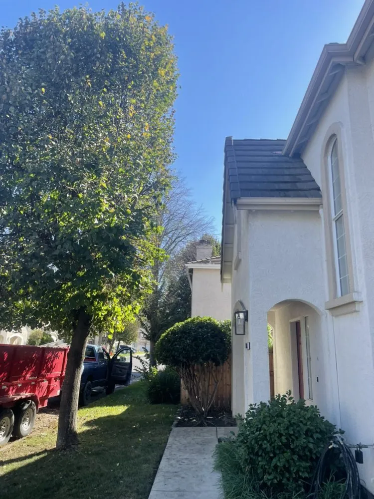 Top-rated yard cleanup service for beautiful yards across Stockton, CA - LS Landscaping & Tree Care