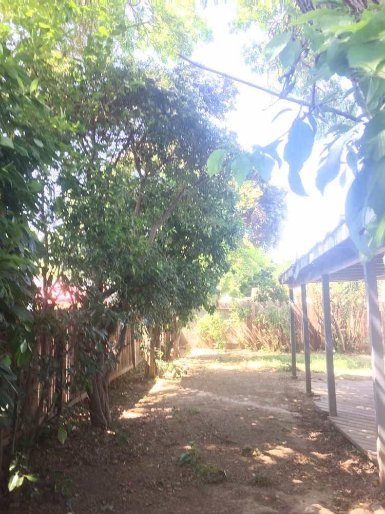 Custom landscape design near you across Stockton, CA - LS Landscaping & Tree Care