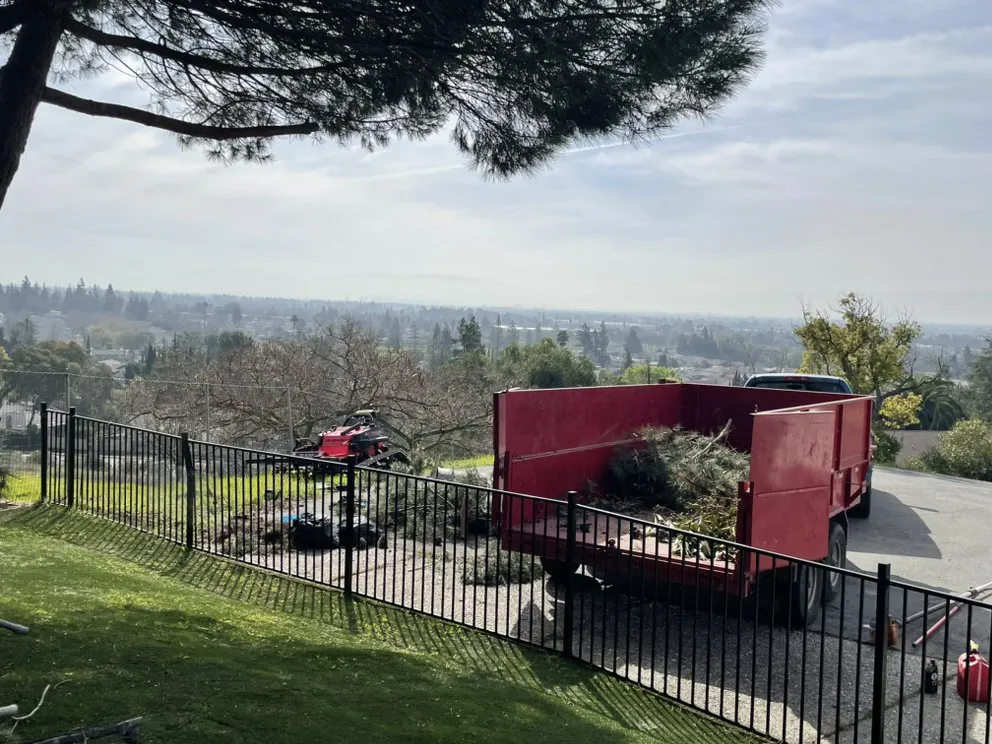 Top-rated outdoor landscaping near you across Stockton, CA - LS Landscaping & Tree Care