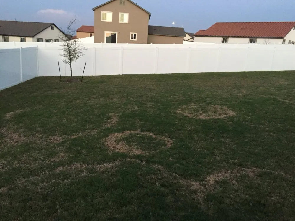 Professional landscaping services for beautiful yards in Austin, TX by L&S Landscaping