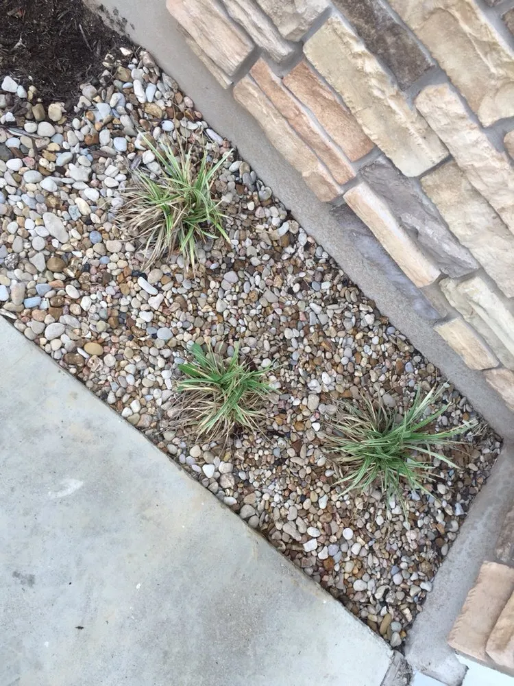 Expert landscape design in Austin, TX - L&S Landscaping