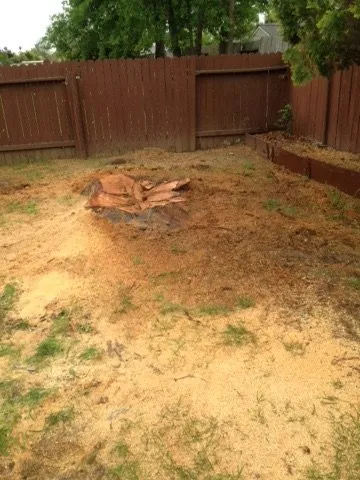 Local yard cleanup service for homes across Sacramento, CA - L&S Landscaping