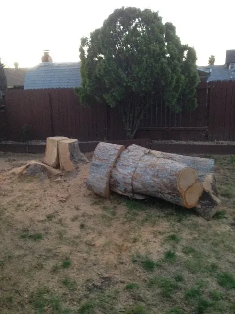 Local landscaping services in Sacramento, CA - L&S Landscaping