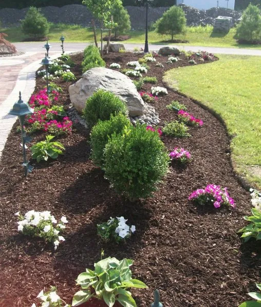 Professional lawn mowing service in Cape Coral, FL by L&S Landscaping Services