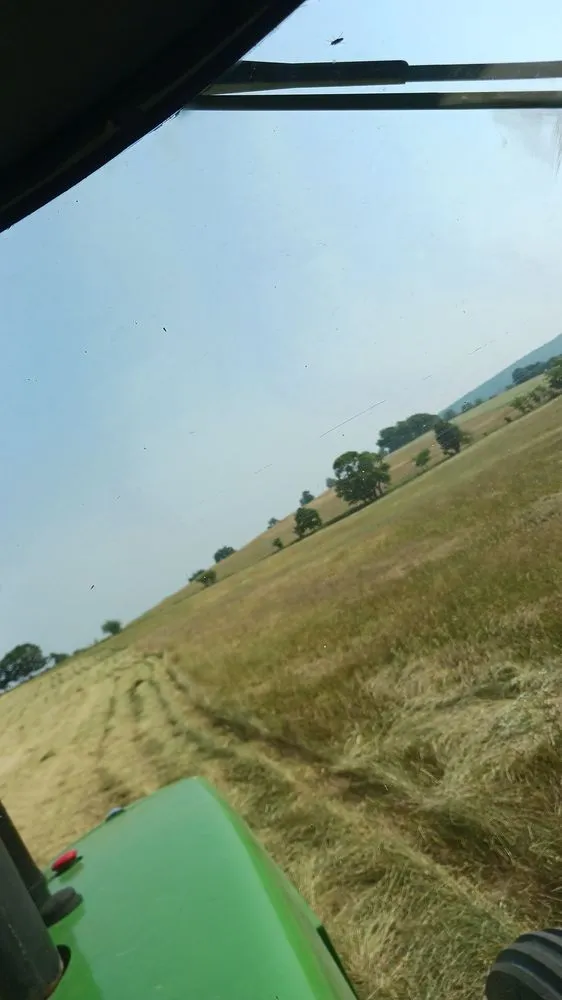 Professional yard maintenance for year-round maintenance across Wister, OK - LS Landscaping