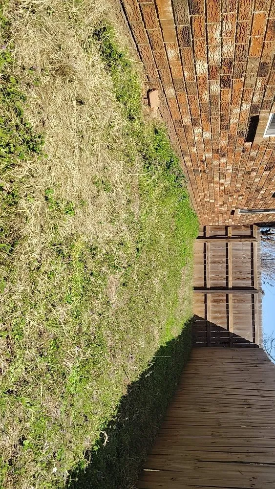 Expert landscape design experts serving Wister, OK - LS Landscaping