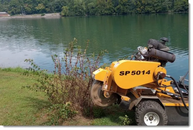 Reliable lawn care service near you across Clinton, TN - LS Lawn and Stump