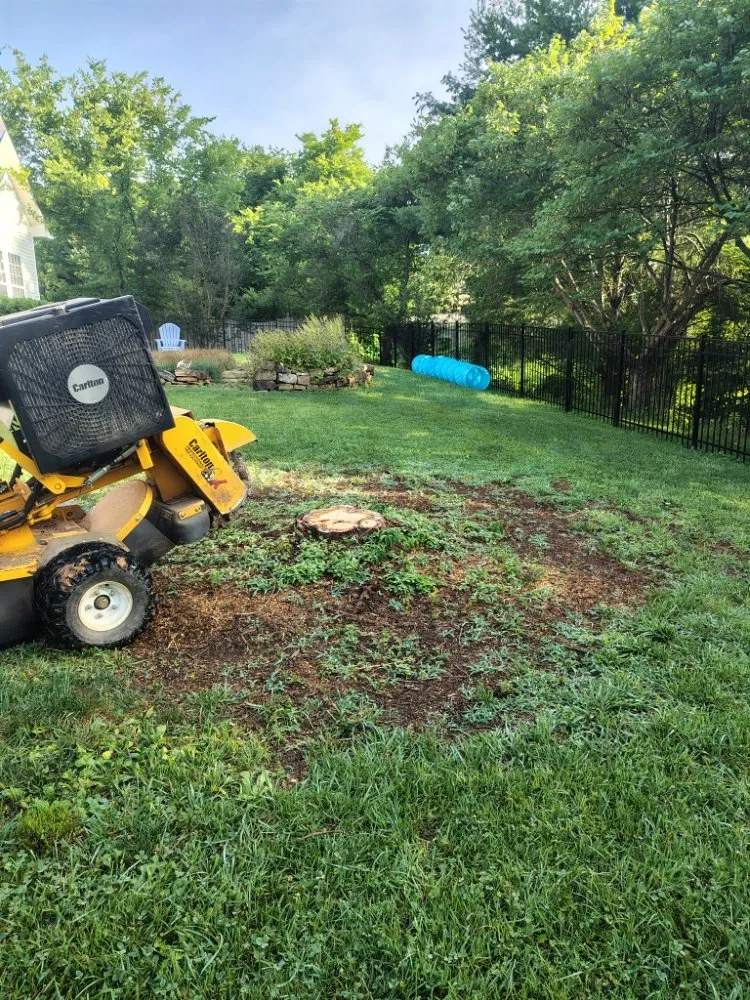 Top-rated lawn care service for homes across Clinton, TN - LS Lawn and Stump