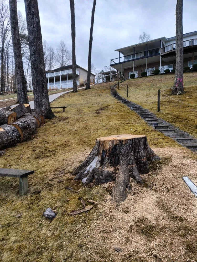 Expert outdoor landscaping in Clinton, TN by LS Lawn and Stump