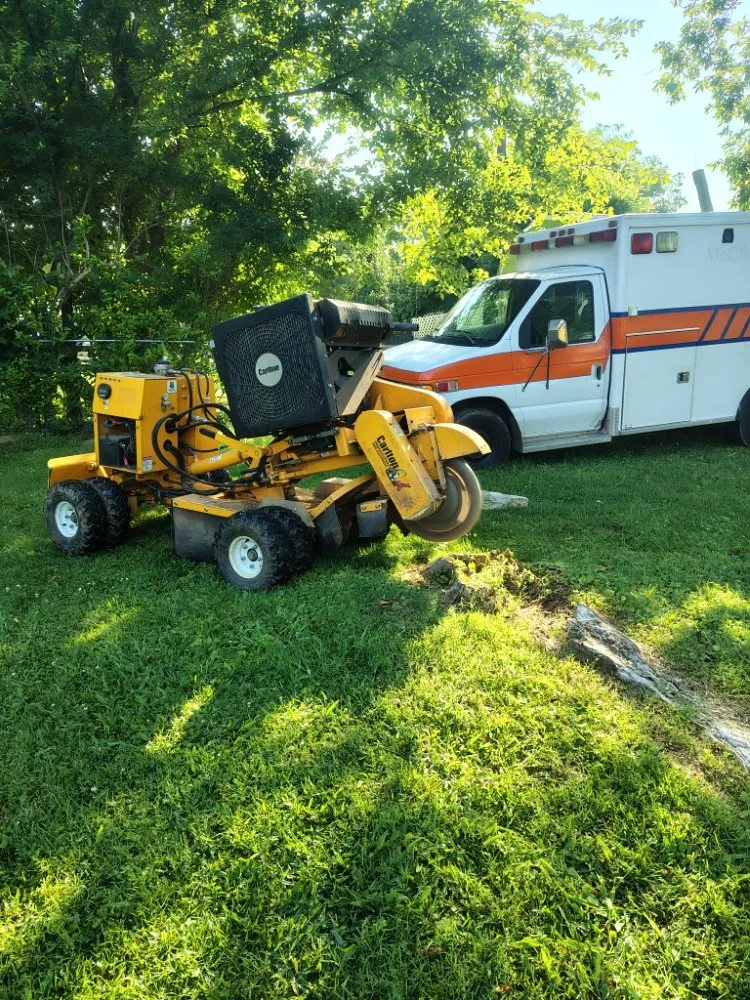 Local outdoor landscaping with custom design in Clinton, TN by LS Lawn and Stump