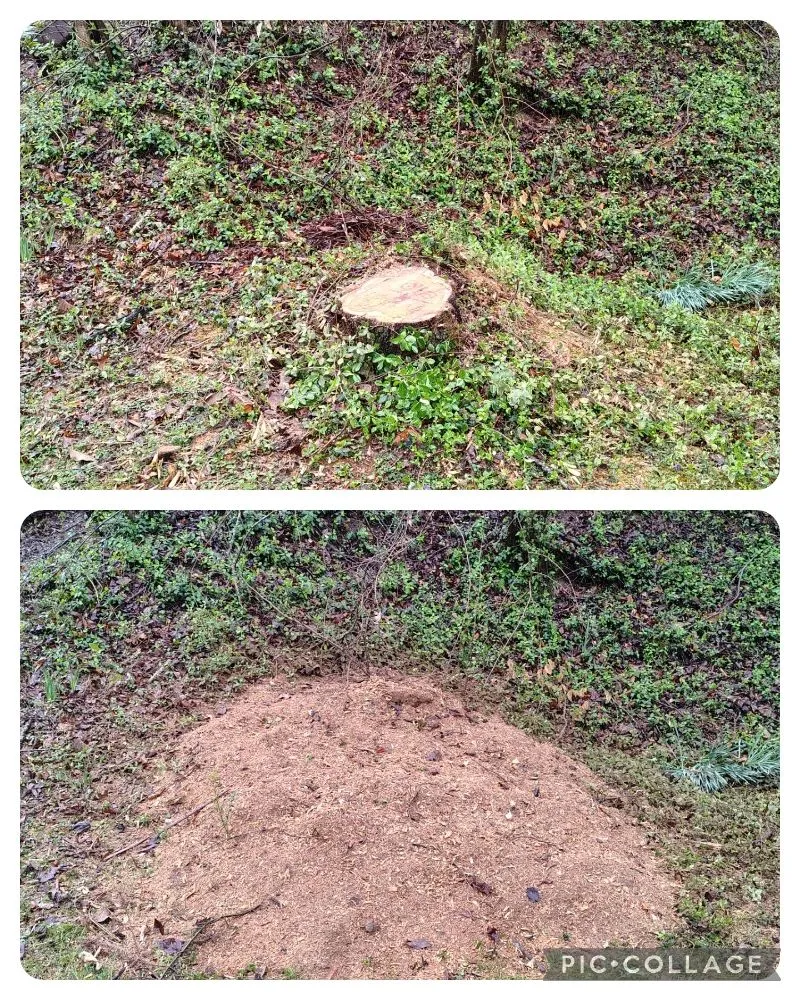 Local landscape design in Clinton, TN - LS Lawn and Stump