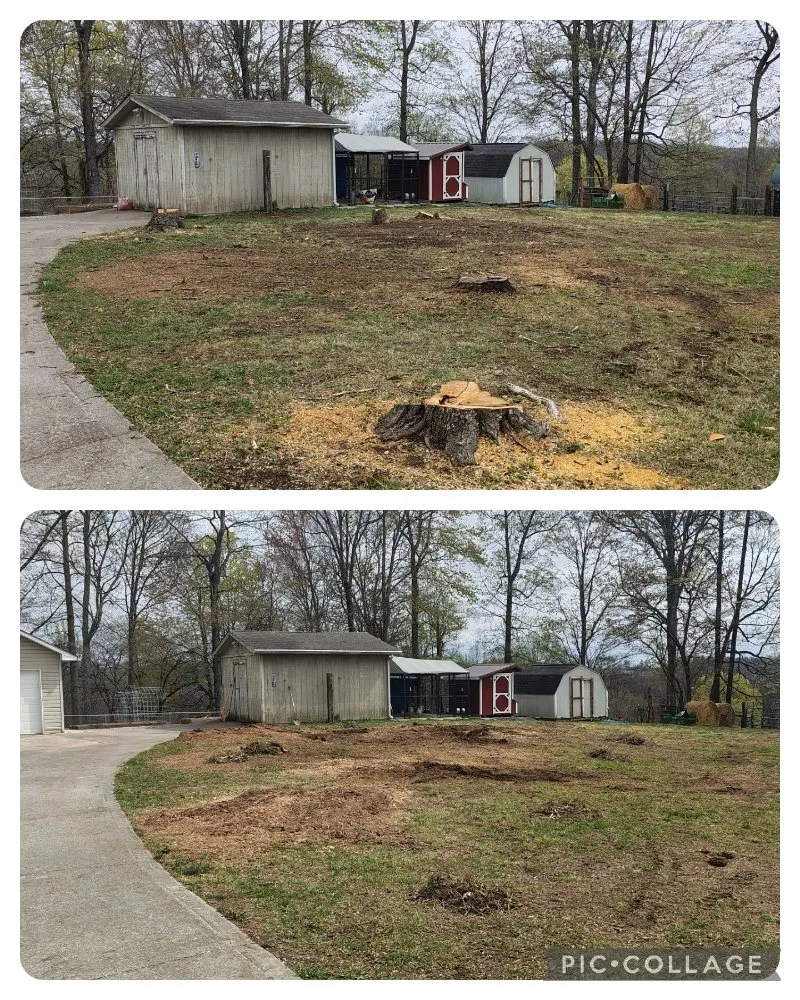Professional residential landscaping in Clinton, TN by LS Lawn and Stump