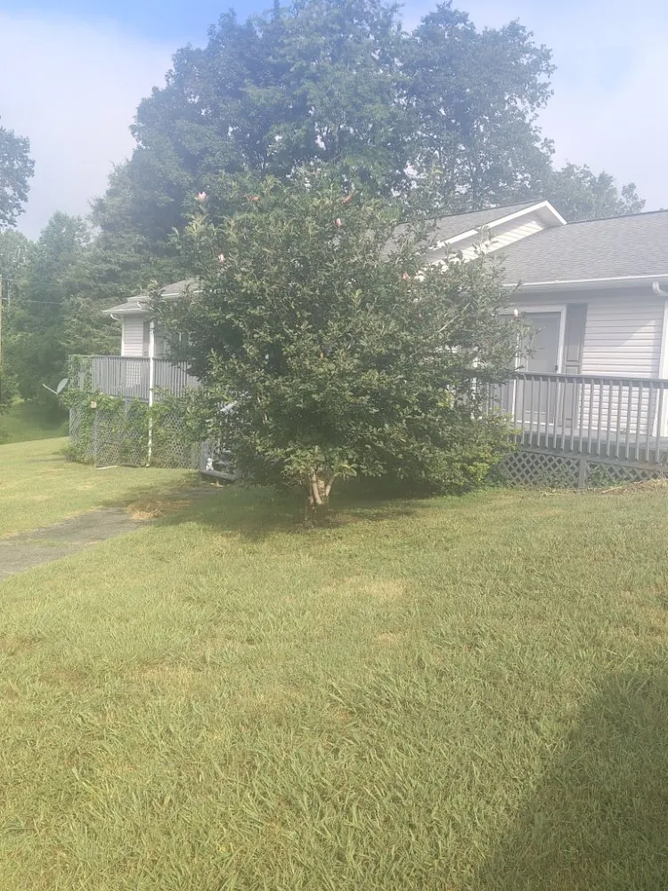 Local lawn mowing service experts serving Clinton, TN - LS Lawn and Stump